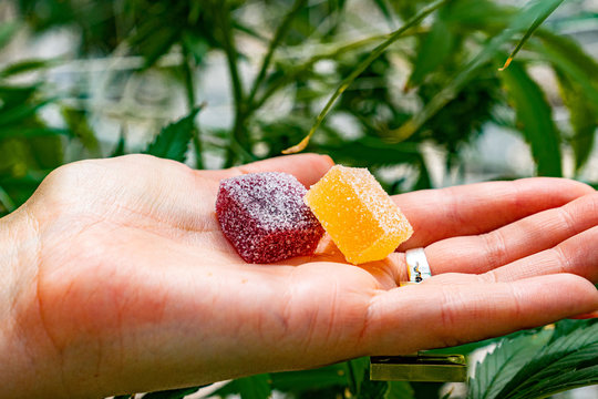 hand-edibles